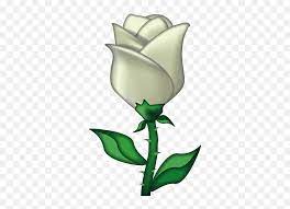 emoji iphone white rose emoji png
