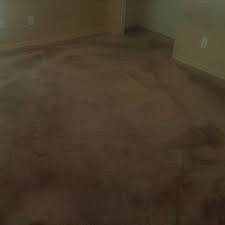 sunshine carpet rug cleaning 32
