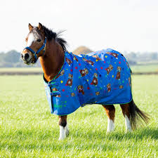 shires tikaboo 100 turnout rug cool