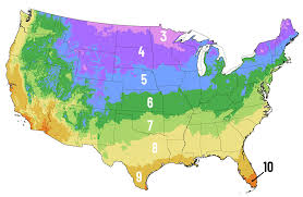 Find Your Hardiness Zone Climate