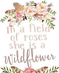 In a field of roses she is a wildflower craft design. Pin On Quotes