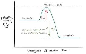 What Is The Activation Energy For A Reverse Reaction Quora