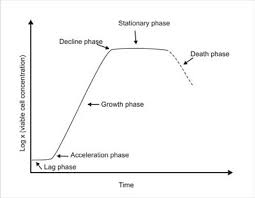 Microbial Growth