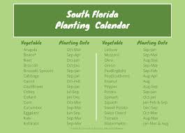 easiest vegetables to grow in south florida