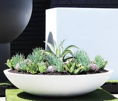 Pietro Wok Planter Premium Garden