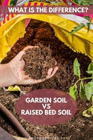 raised bed soil vs garden soil
