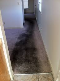carpet cleaning memphis tn quality