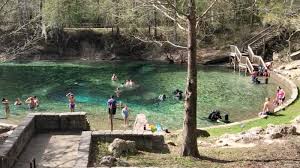 Florida has got some of the most powerful springs on earth and the silver spring is one of them which discharges more than 23.000 liters per second of crystal clear water. Little River Cavediving Com