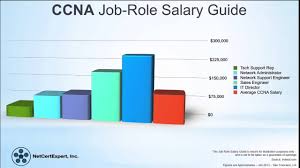 What is CCNA Certification - YouTube