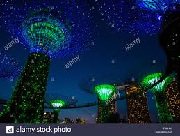 Singapore Feb 22 Supertrees In Gardens By The Bay In