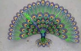 Contoh gambar mozaik burung merak. 660 Cara Membuat Kolase Burung Merak Hd Kumpulan Gambar Kolase