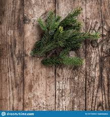 Christmas Fir Branch On Wooden Holiday Background Xmas And