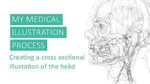 A Brief Overview of my Medical Illustration Process by Annie Campbell -  YouTube