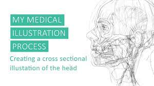 A Brief Overview of my Medical Illustration Process by Annie Campbell - YouTube