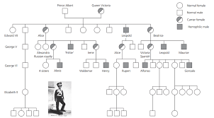 Extensive studies have been done on both sides of victoria's family tree. The Family Tree Of Queen Victoria Reproduced With Permission Of John Download Scientific Diagram