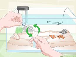3 Ways To Cycle A Saltwater Tank Wikihow
