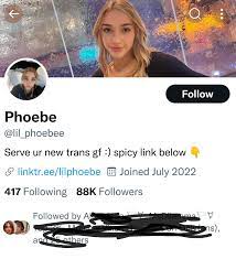whoopsie gaysie!🏳️‍🌈❤️ #CeaseFireNow🇵🇸 on X: Just a PSA for  followersmutuals A bunch of you are following this cis woman, ....who is  *pretending to be trans* to gain clout 😶 @lil_phoebee  t.co8jBqMliaWa 