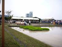Izawanomiya Otaue Rice Festival