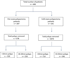 Flow Chart Of Number Of Patients In Each Group Polyp Sizes