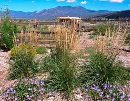 High Desert Landscaping Pictures High
