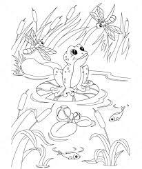 Click the pond animals coloring pages to view printable version or color it online (compatible with ipad and android tablets). Pond Coloring Page Frog Coloring Pages Animal Coloring Pages Dinosaur Coloring Pages