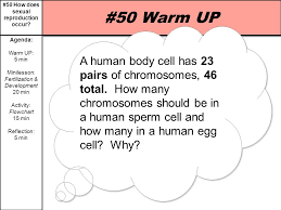 50 How Does Sexual Reproduction Occur Agenda Warm Up 5