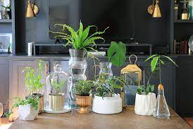 20 Creative Houseplant Container Ideas