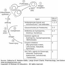 Immunomodulators Lange Smart Charts Pharmacology 2e