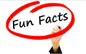 fun facts for kids allabouts