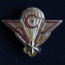 Insigne en tissu qui ose gagne des s.a.s. Insigne De Brevet Commando Parachutiste Gpc Gabonais