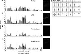 Representative Antibody Response Charts And Binding Patterns