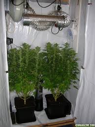 Even if you have just a. How To Turn My Closet Into A Grow Room