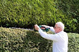 What Type Of Hedge Trimmer Do I Need