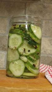 lacto fermented pickles southern