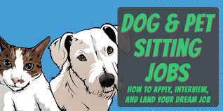 Book trusted sitters and dog walkers who'll treat your pets like family. How To Get Dog Pet Sitting Jobs Pet Business Masters