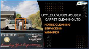little luxuries house carpet cleaning