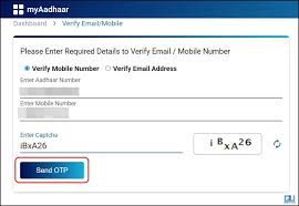 2 ways to check phone number and email