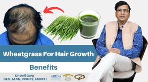 wheatgr benefits for hair growth