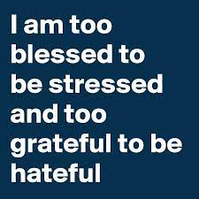 I'm too grateful to be hateful. Too Blessed To Be Stressed Stress Quotes Spiritual Quotes Life Quotes