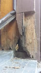 repair dry rot in door jamb at