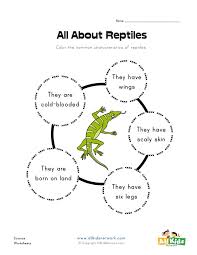 All About Reptiles Worksheet All Kids Network