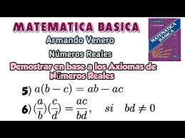 Matematica Basica Armando Venero