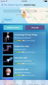 Home The Jellyfish App Website