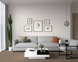 couch colors for brown carpet floors
