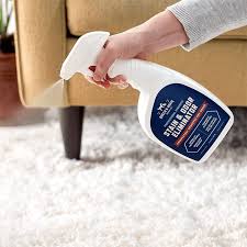 best carpet cleaners for pet stains