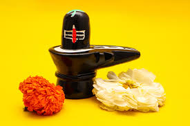 shiva linga decorated with flowers on