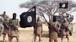 Only 5% of People With Boko Haram Ideology Still Exist – Borno State Govt