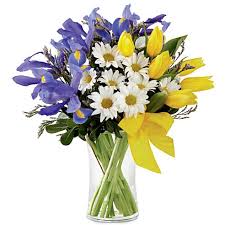 White, purple, and blue varieties are especially useful in expressing your feelings to a friend. Tulips Meaning Tulip Meaning And History