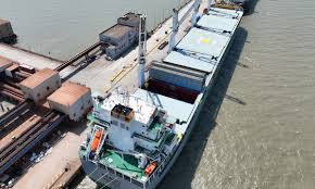 China's shipbuilding industry retains global lead in H1 with 45.2% global share - Global Times