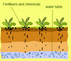 What Are The Various Types Of Water Pollution